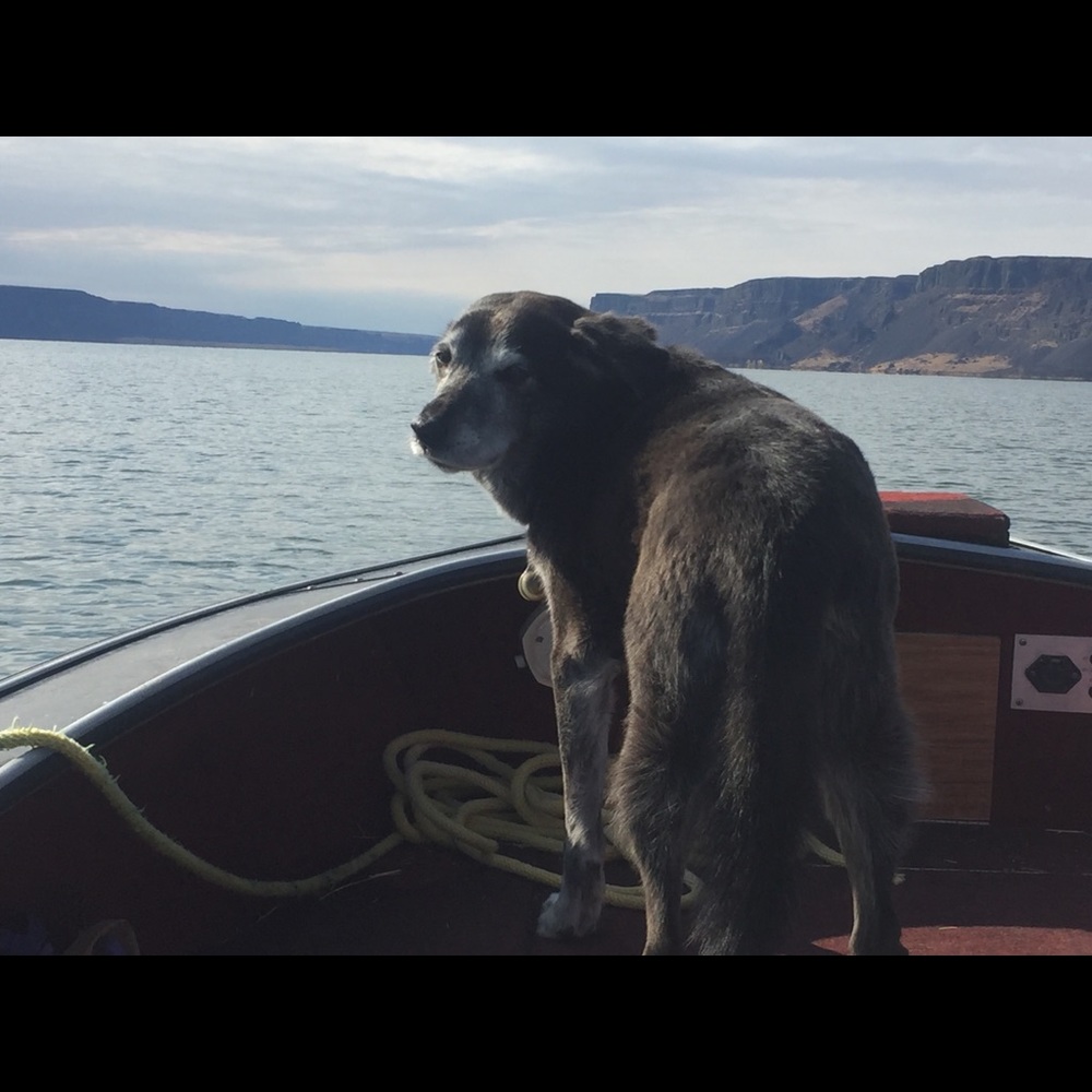 Meet your Posher, Chelsey